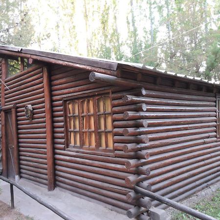 Cabaña Portal Andino Mendoza Exterior foto